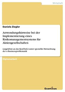 Anwendungshinweise bei der Implementierung eines Risikomanagementsystems für Aktiengesellschaften (angelehnt an das KonTraG) unter spezieller Betrachtung der e-Businessproblematik