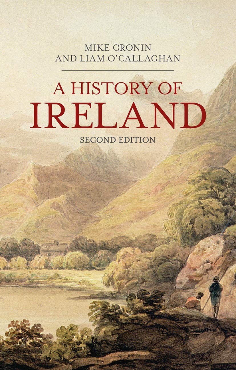 Mike Cronin A History Of Ireland (Bloomsbury Essential Histories)