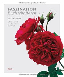 Faszination Englische Rosen: David Austin und seine Lieblingssorten