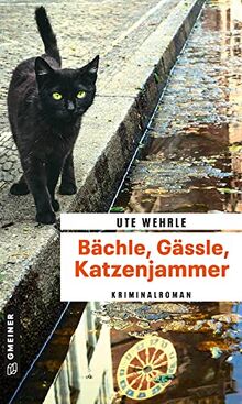 Bächle, Gässle, Katzenjammer: Kriminalroman (Journalistin Katharina Müller) (Kriminalromane im GMEINER-Verlag)