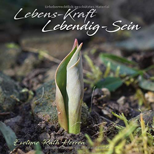Lebens-Kraft Lebendig-Sein: Eine Anregung und eine Inspiration, wie ich in nächster Umgebung die Lebens-Kraft entdecken - in mir erwecken - und auf ... - und auf diese Weise lebendig werden kann.