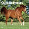 Quarter Horses 2020 - 16-Monatskalender: Original BrownTrout-Kalender [Mehrsprachig] [Kalender] (Wall-Kalender)