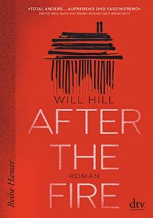 After the Fire: Roman (Reihe Hanser)