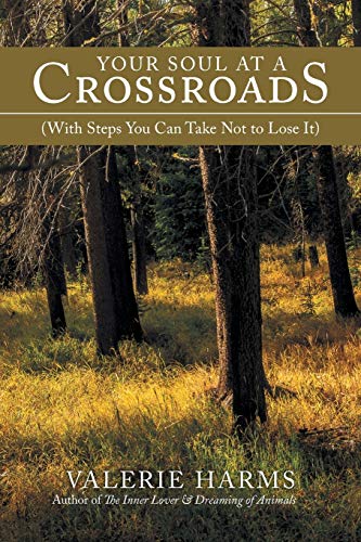 Your Soul at a Crossroads: (With Steps You Can Take Not to Lose It)