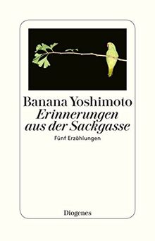 Erinnerungen aus der Sackgasse: Fünf Erzählungen