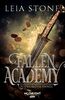 Deuxième année : Fallen Academy 2