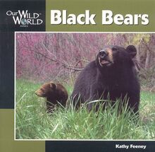 Black Bears (Our Wild World)