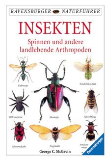 Insekten