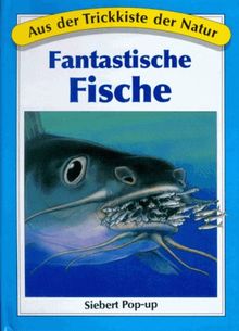 Trickkiste Aus Holz – Kleine Rätselbox Zum Knobeln – Fiese Geschenkverpackung