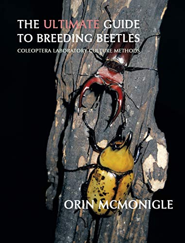 ULTIMATE GT BREEDING BEETLES: Coleoptera Laboratory Culture Methods