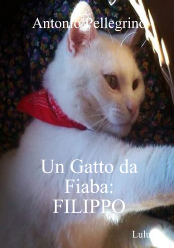 Un Gatto da Fiaba: FILIPPO