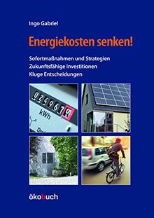 Energiekosten senken! von Gabriel, Ingo | Buch | Zustand sehr gut