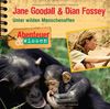Abenteuer & Wissen: Jane Goodall und Dian Fossey. Unter wilden Menschenaffen