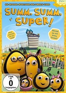 SUMM, SUMM, SUPER! - Die großen Abenteuer der Familie Biene, Vol.1 von Ray Merrit | DVD | Zustand sehr gut