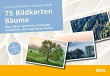 75 Bildkarten Bäume: Über Natur sprechen, Analogien entdecken, sich inspirieren lassen. Für Unterricht, Coaching, Seminare