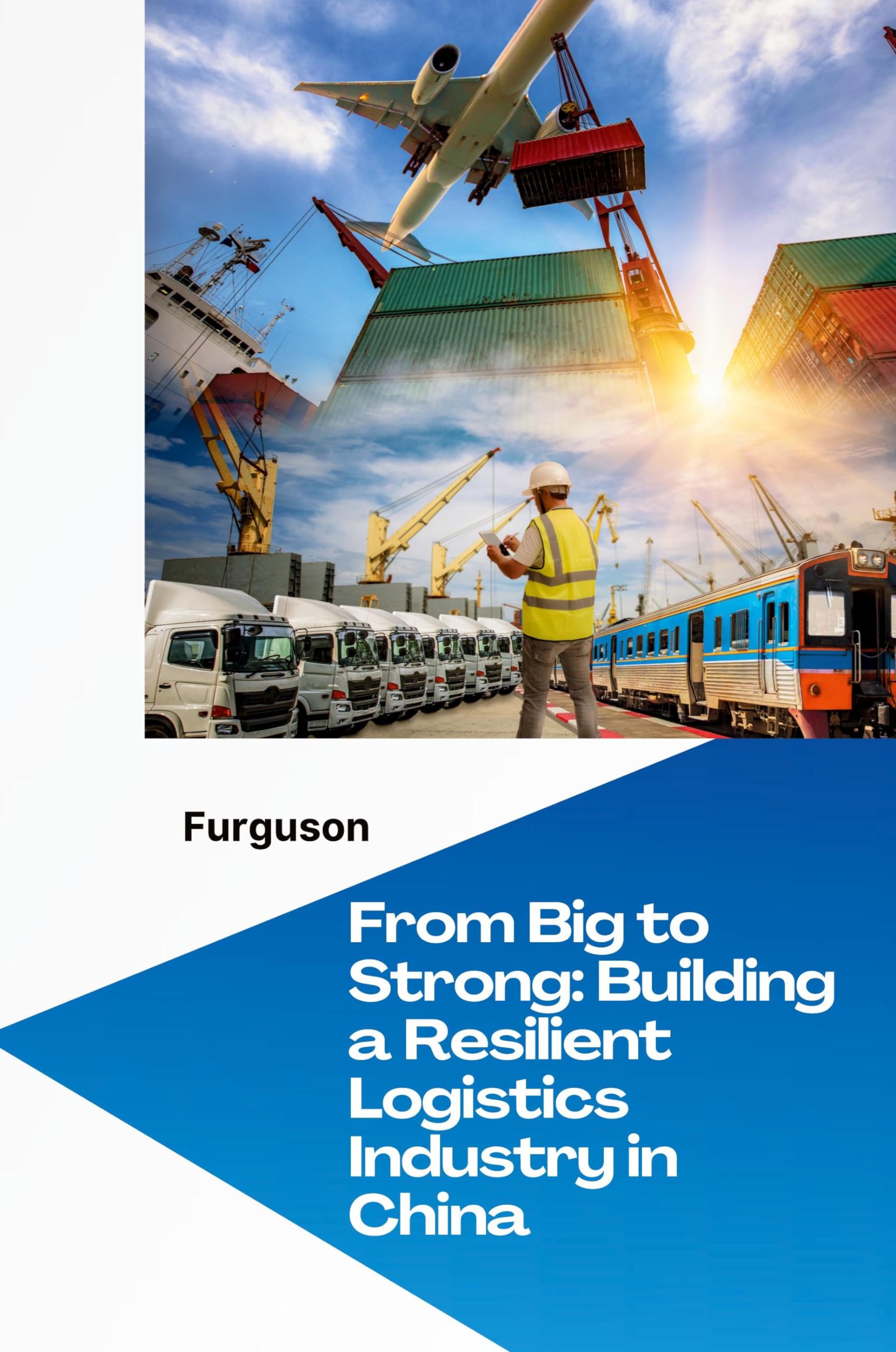 From Big to Strong: Building a Resilient Logistics Industry in China: DE
