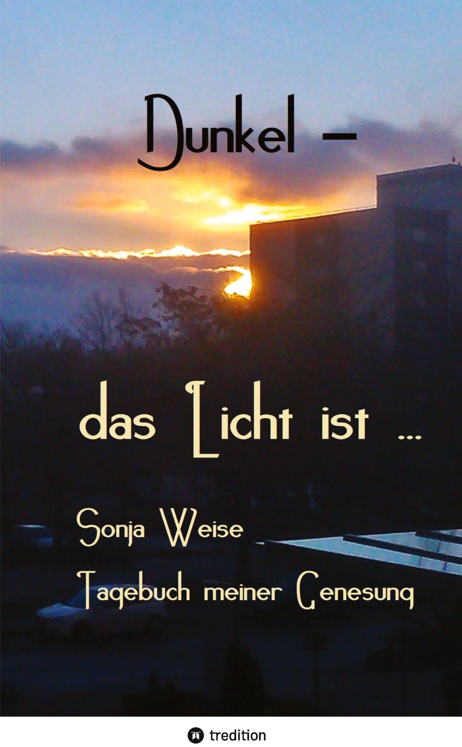 Dunkel - das Licht ist ...: Tagebuch meiner Genesung