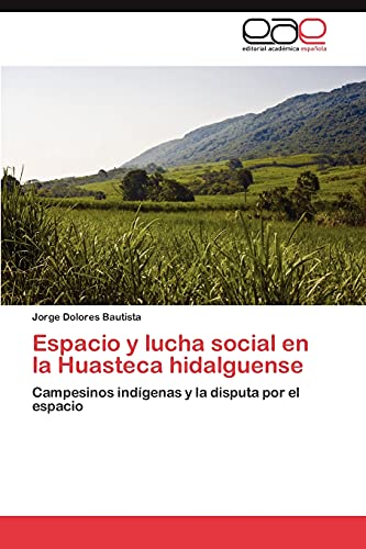 Espacio y lucha social en la Huasteca hidalguense: Campesinos indígenas y la disputa por el espacio