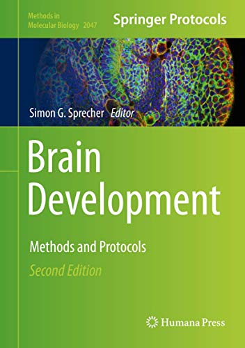 Brain Development: Methods and Protocols (Methods in Molecular Biology, 2047, Band 2047)