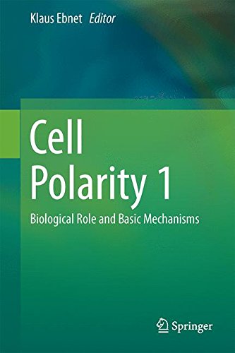 Cell Polarity 1: Biological Role and Basic Mechanisms