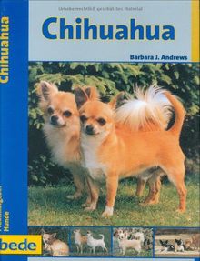 Chihuahua, Praxisratgeber