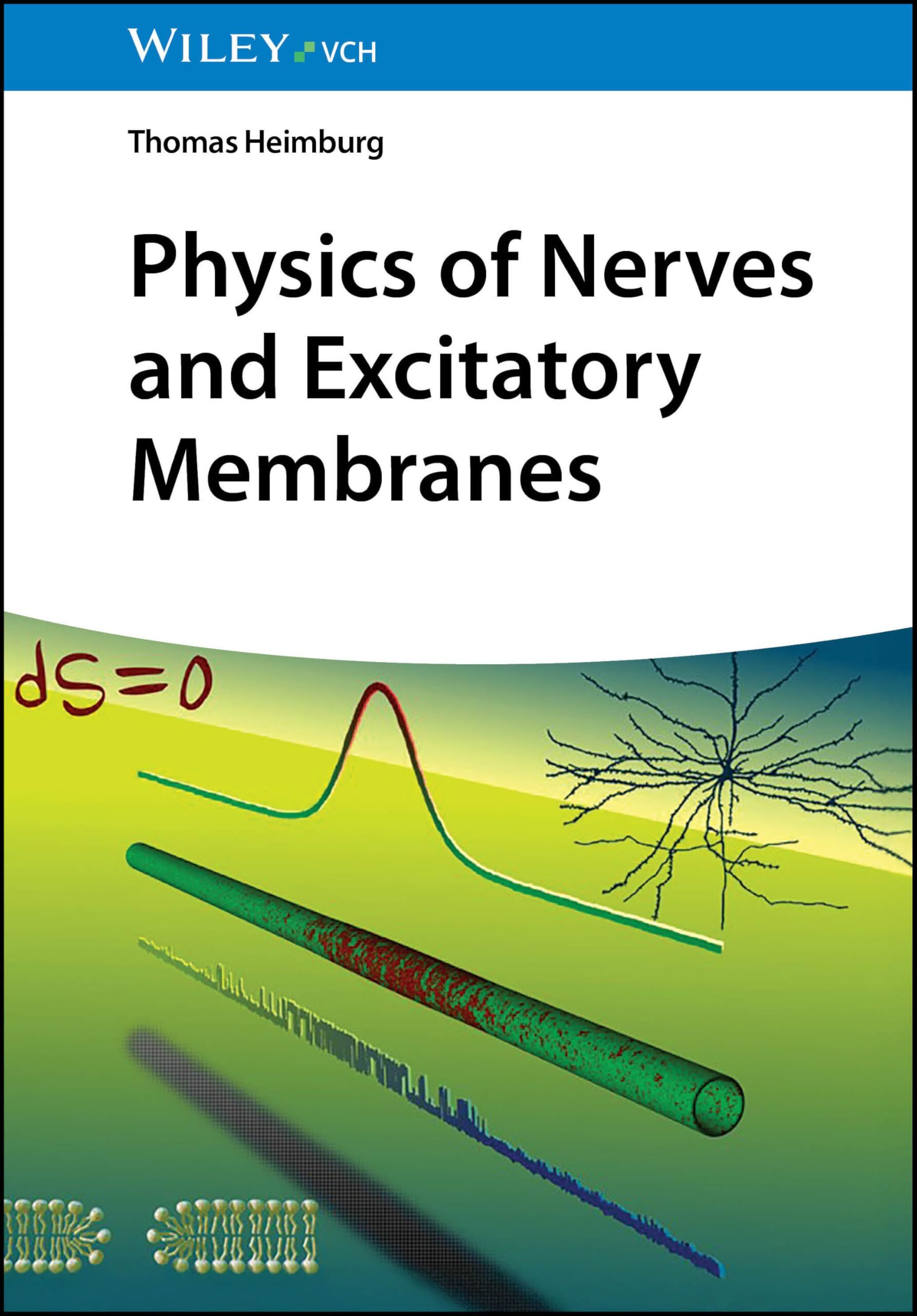 Physics of Nerve Cells and Excitatory Membranes