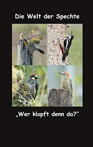 Die Welt der Spechte: Wer klopft denn da?