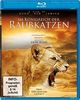Im Königreich der Raubkatzen [Blu-ray]