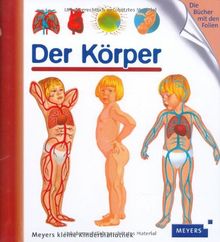 Der Körper