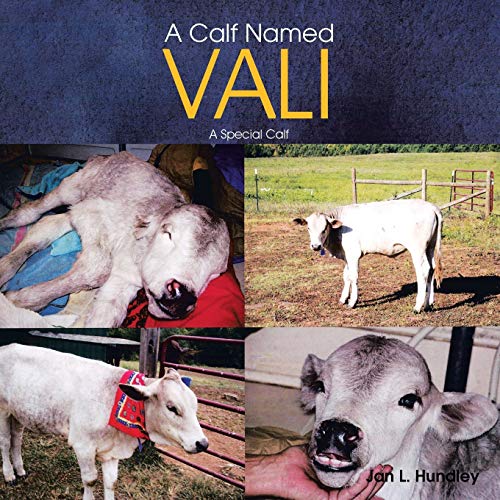 A Calf Named Vali: A Special Calf