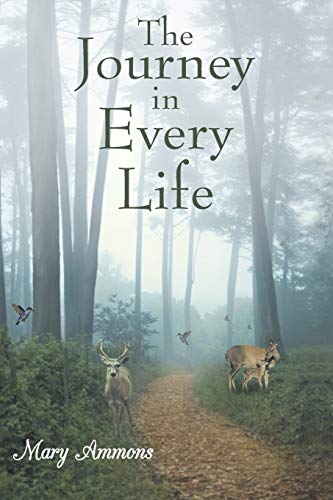 The Journey In Every Life