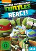 Teenage Mutant Ninja Turtles - React!