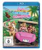 Barbie und ihre Schwestern in: Die grosse Hundesuche [Blu-ray]
