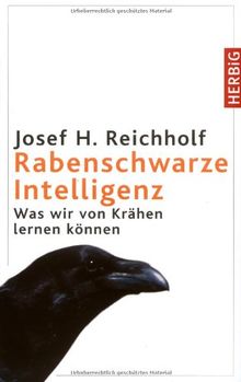 Rabenschwarze Intelligenz: Was wir von Krähen lernen können