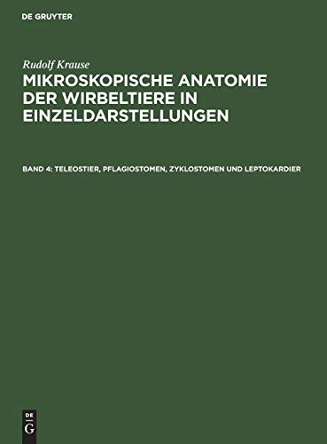Teleostier, Pflagiostomen, Zyklostomen und Leptokardier (Rudolf Krause: Mikroskopische Anatomie der Wirbeltiere in Einzeldarstellungen)