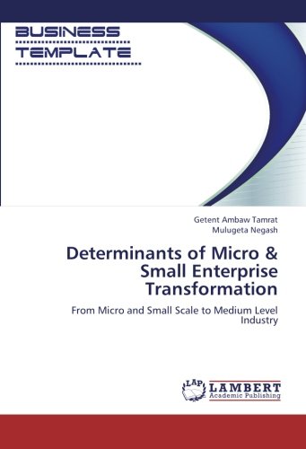 Determinants of Micro & Small Enterprise Transformation: From Micro and Small Scale to Medium Level Industry