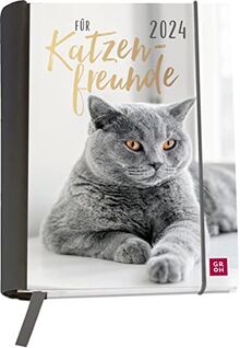 Für Katzenfreunde 2024: Wochenkalender mit 12 Postkarten (Terminplaner für die Handtasche)