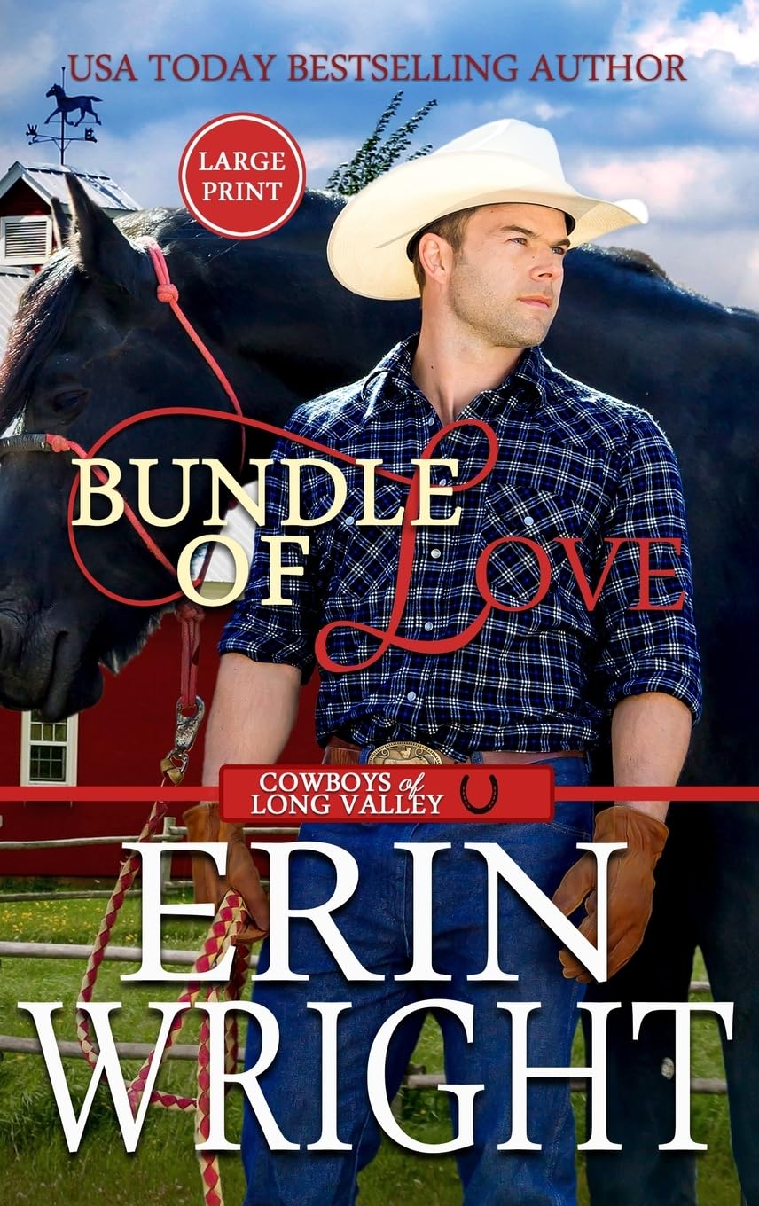Bundle of Love: An Office Contemporary Western Romance (Large Print - Hardcover) (Cowboys of Long Valley Romance - Large Print Hardcover, Band 7)