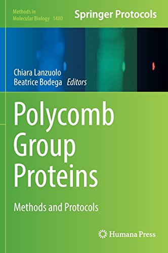 Polycomb Group Proteins: Methods and Protocols (Methods in Molecular Biology)