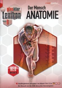 Lexikon V8- Der Mensch-Anatomie