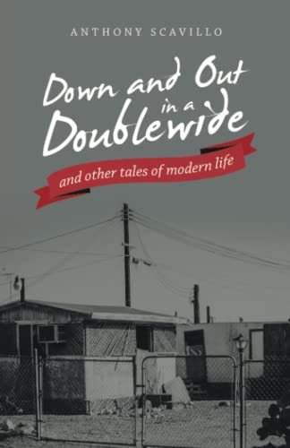 Down and Out in a Doublewide and other tales of modern life