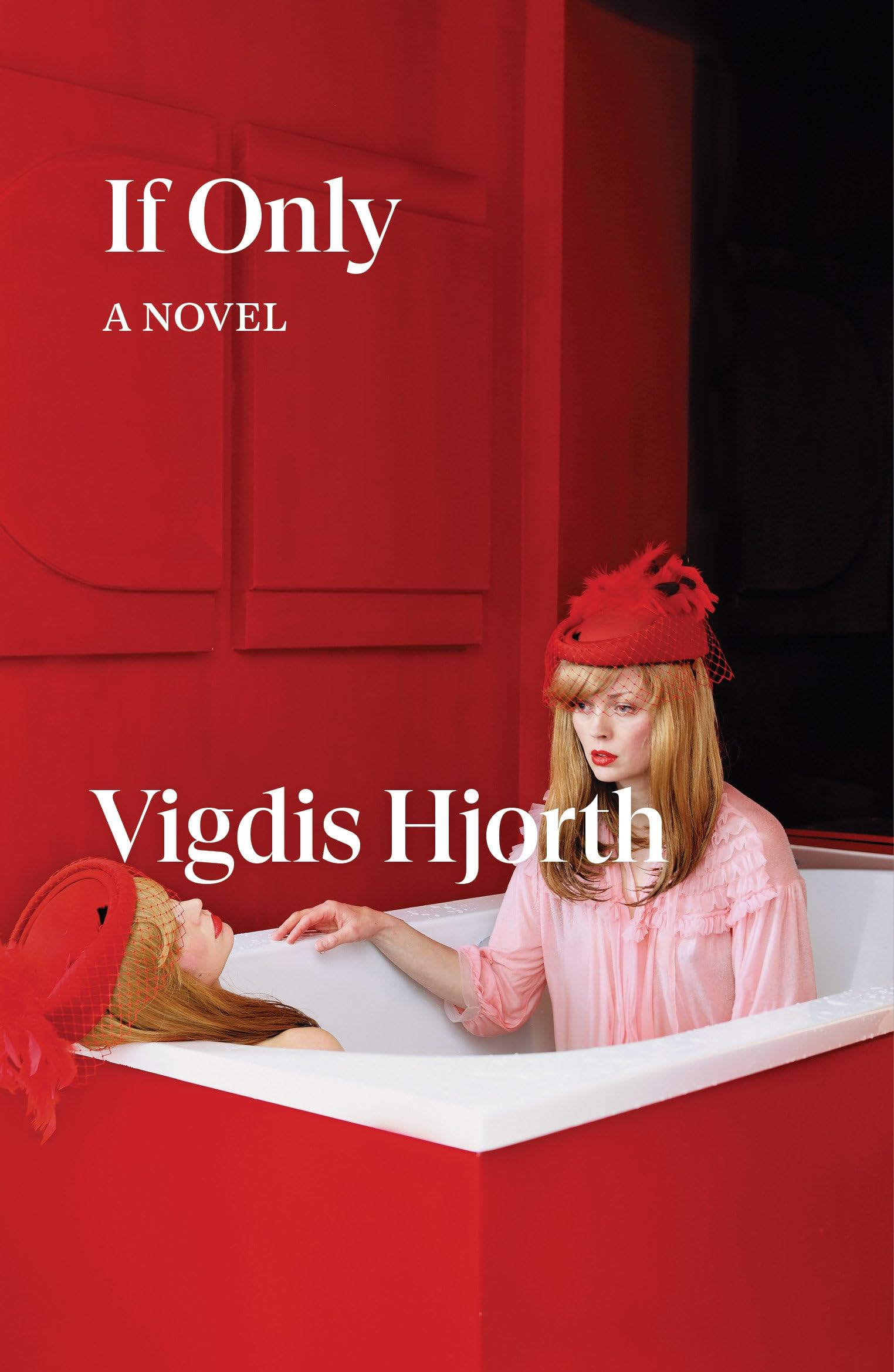 If Only: a novel (Verso Fiction)