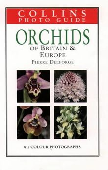 Orchids (Collins Photo Guide)