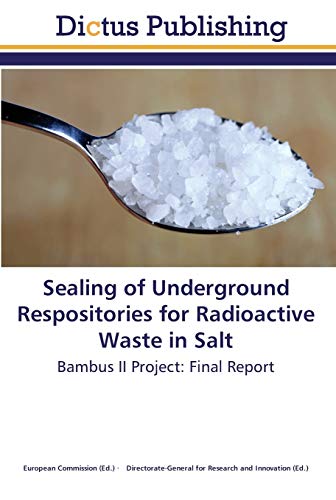 Sealing of Underground Respositories for Radioactive Waste in Salt: Bambus II Project: Final Report