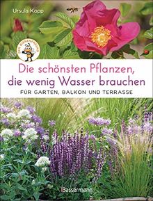 Die schönsten Pflanzen, die wenig Wasser brauchen für Garten, Balkon und Terrasse - 66 trockenheitsverträgliche Stauden, Sträucher, Gräser und Blumen, die heiße Sommer garantiert überleben