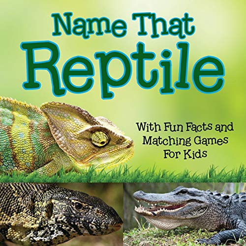 Baby Professor Name That Reptile, With Fun Facts And Matching Games For Kids