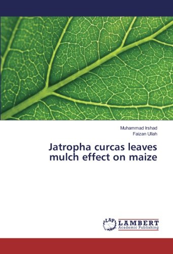 Jatropha curcas leaves mulch effect on maize