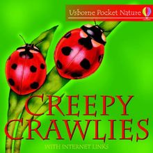 Creepy Crawlies (Usborne pocket nature with Internet links)