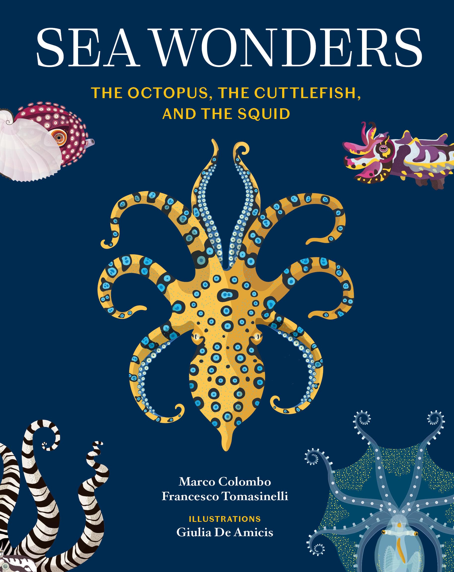 Marco Colombo Sea Wonders, The Octopus, The Cuttlefish, And The Squid