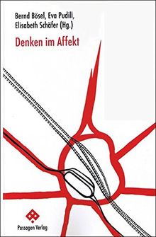 Denken im Affekt (Passagen Philosophie)